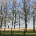 IMG_4042.JPG
