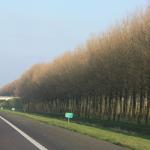 IMG_4044.JPG