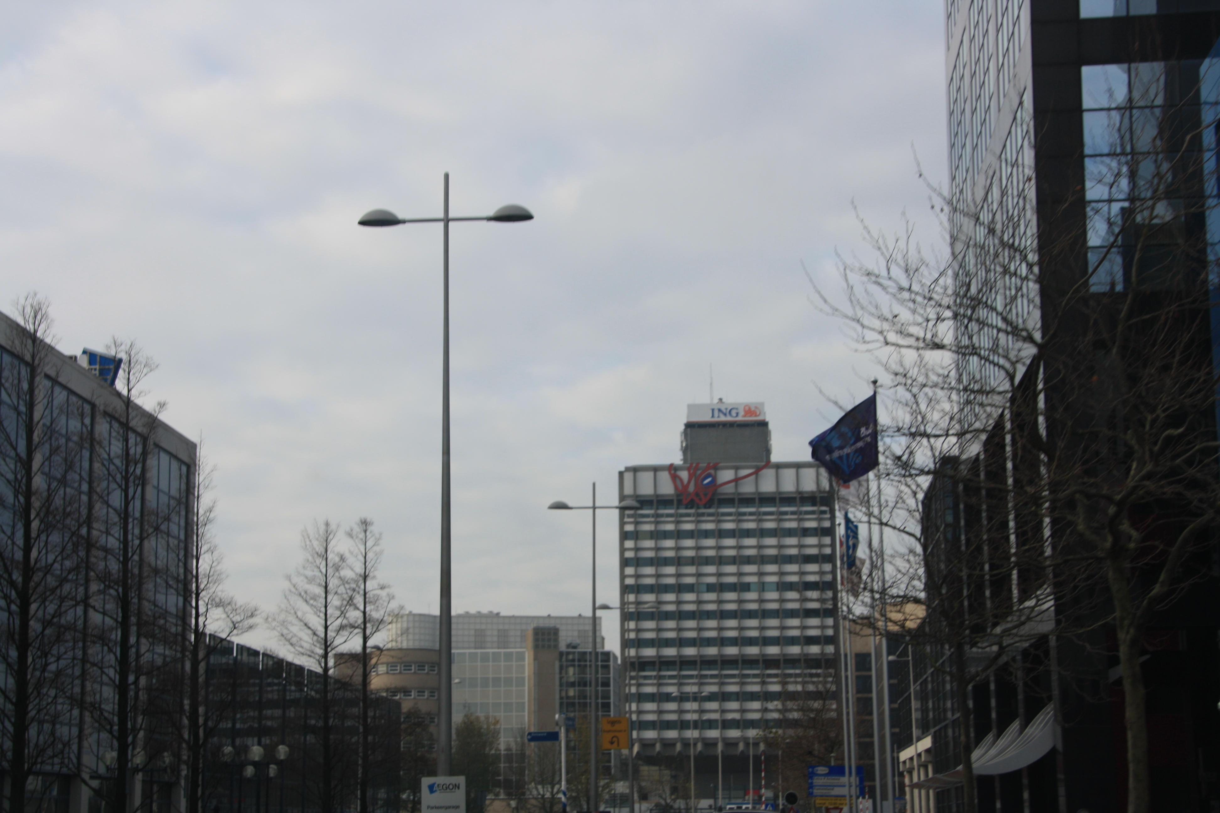 IMG_4061.JPG