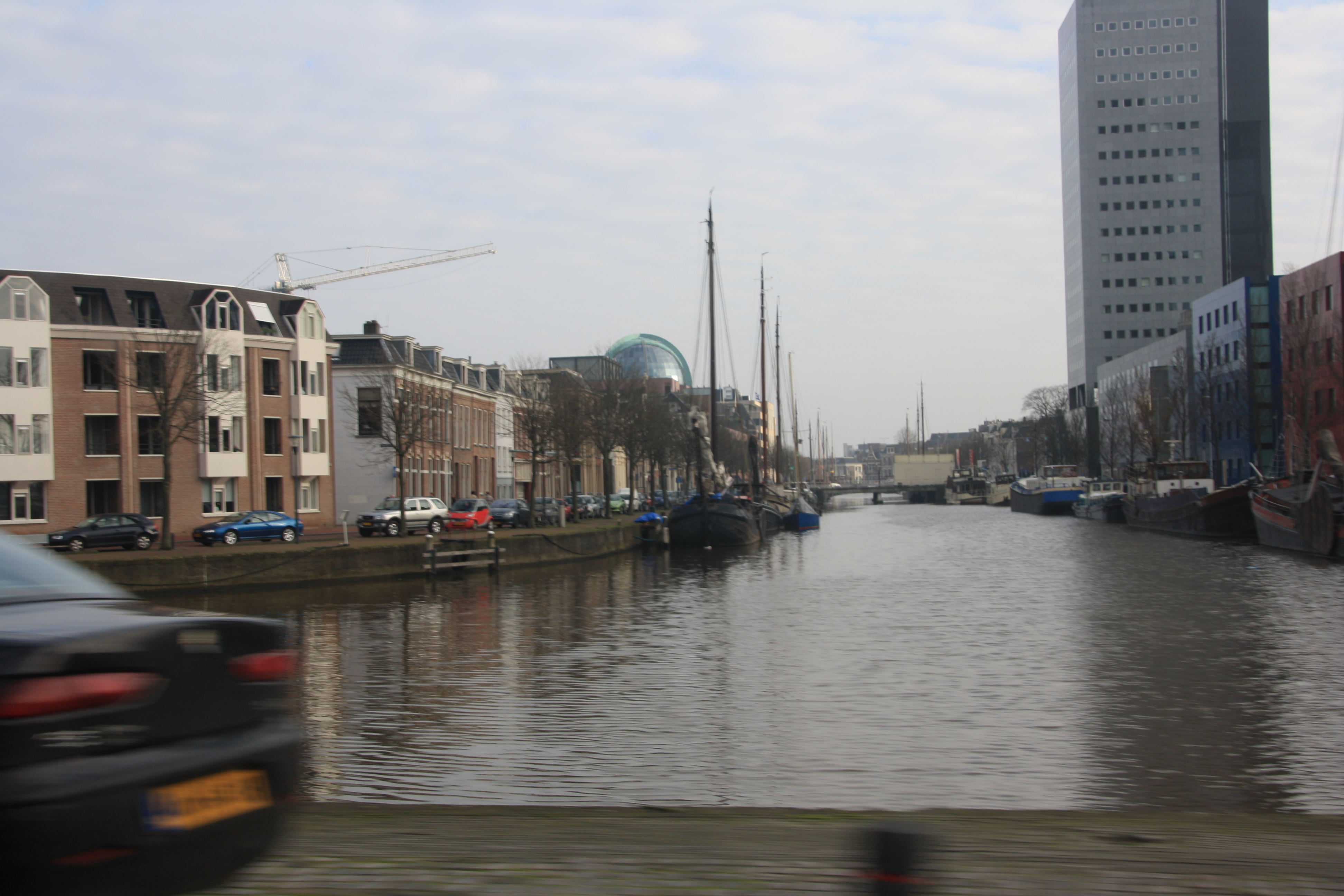 IMG_4065.JPG