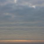 IMG_4319.JPG