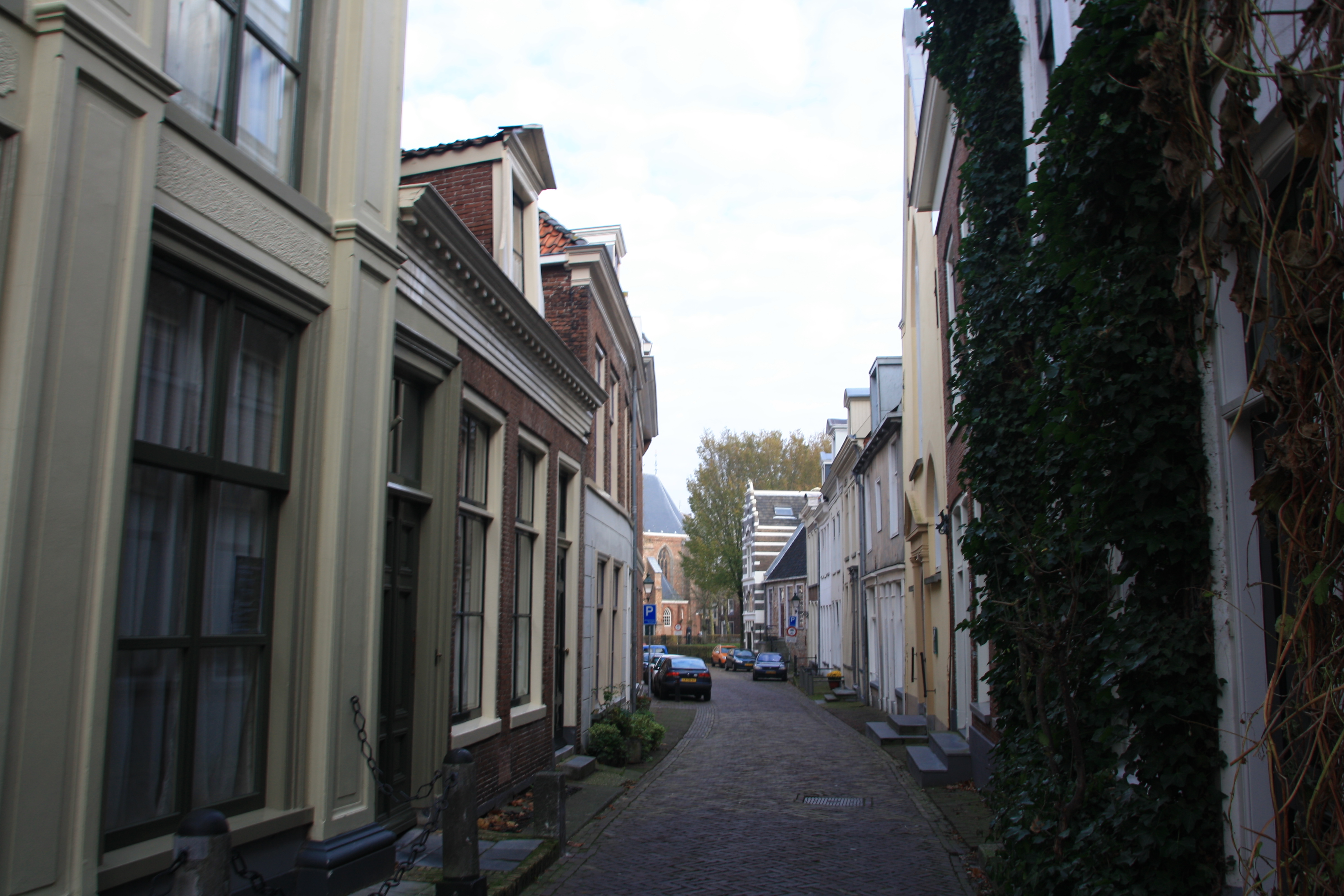 IMG_4090.JPG