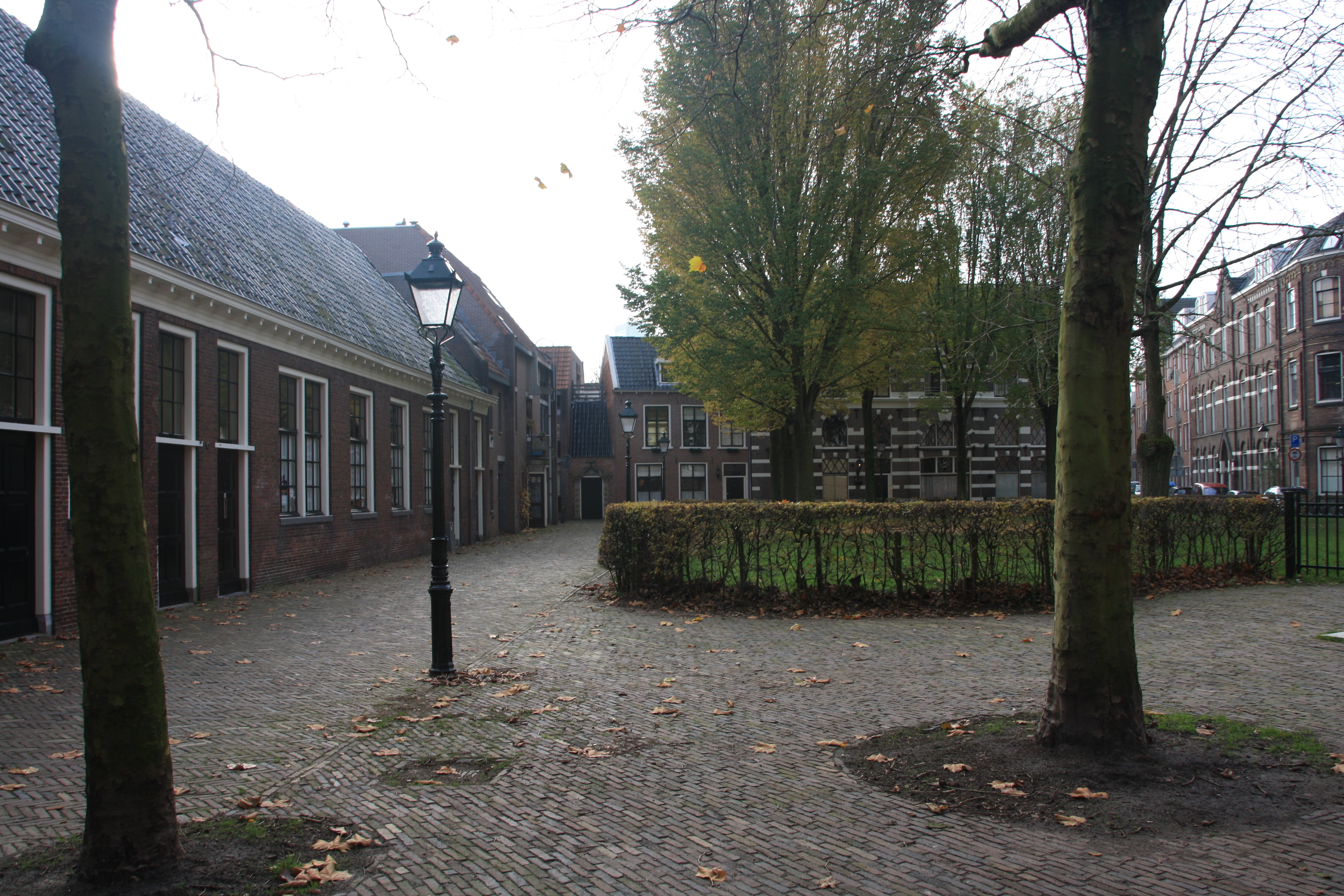 IMG_4109.JPG