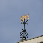 IMG_4113.JPG
