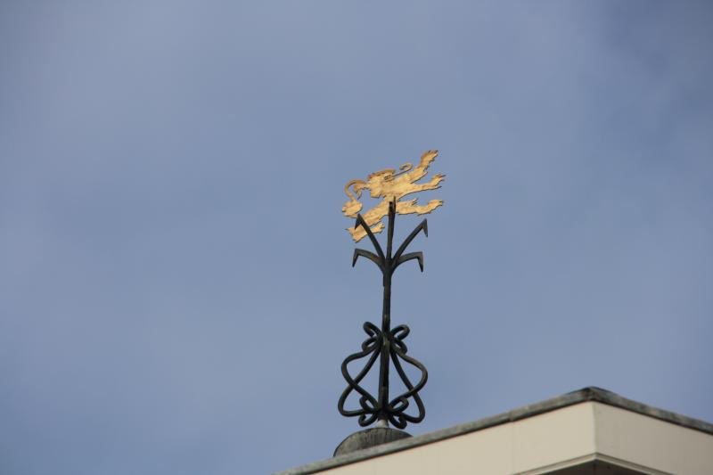 IMG_4113.JPG