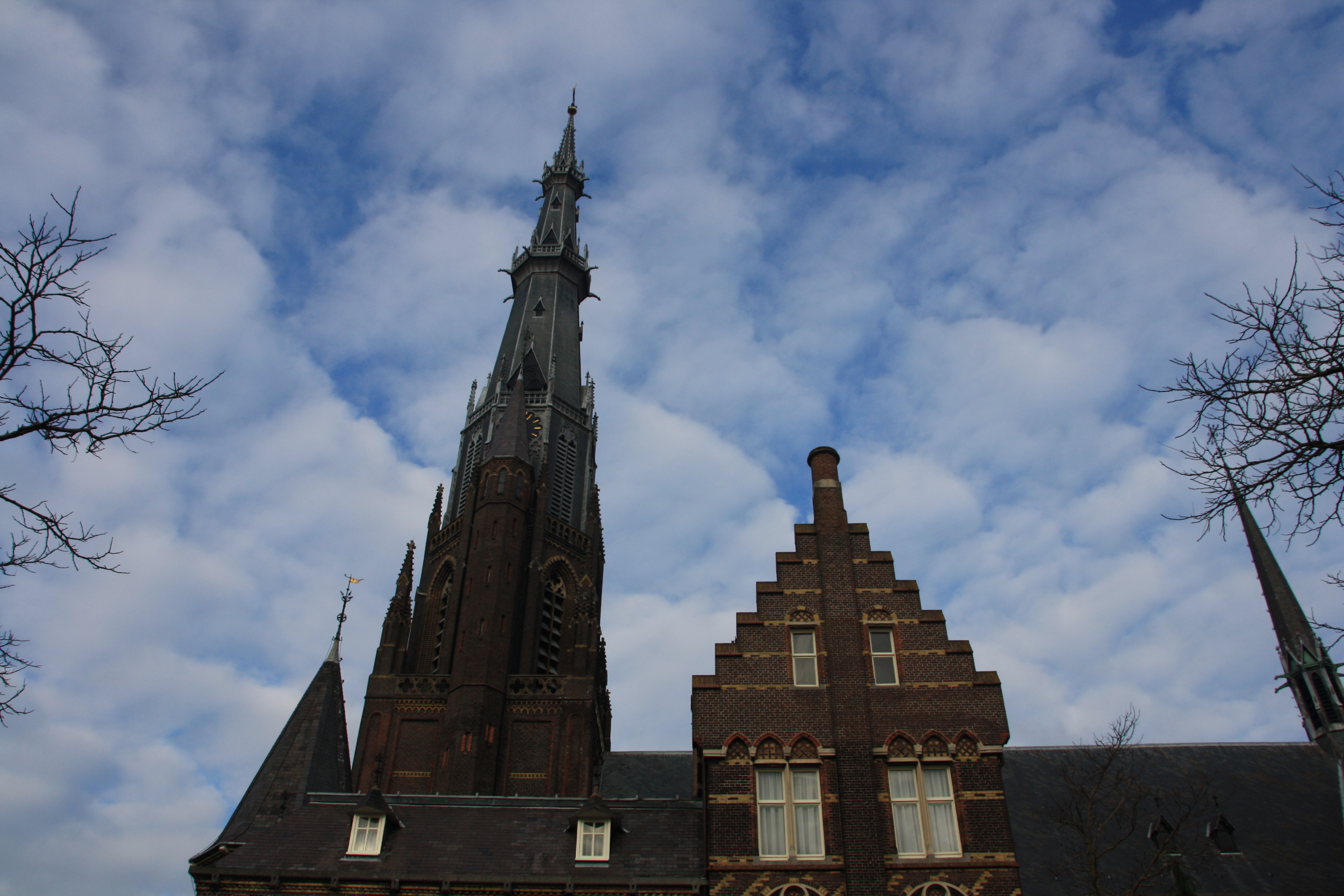 IMG_4137.JPG