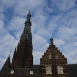 IMG_4137.JPG