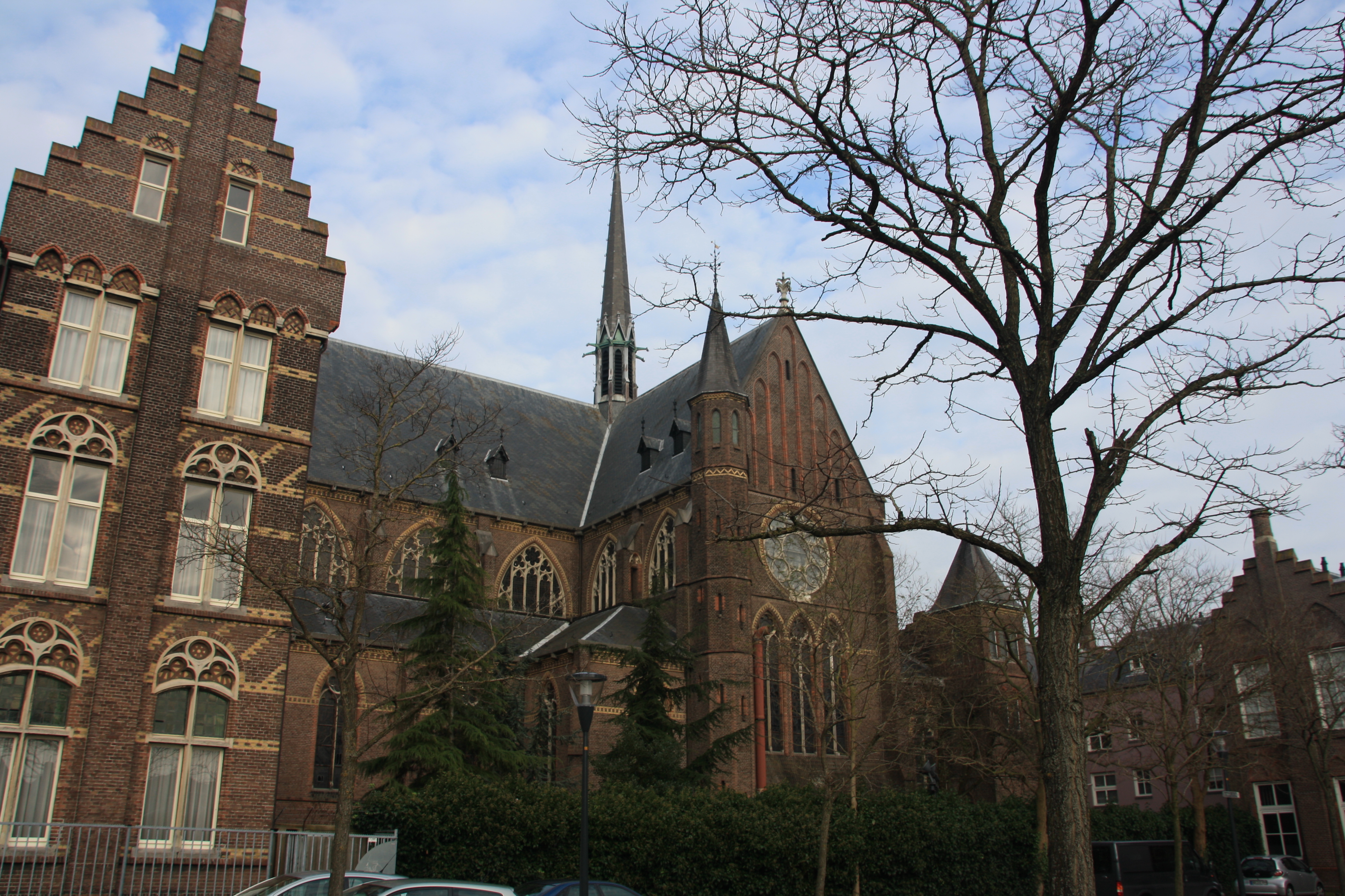IMG_4139.JPG