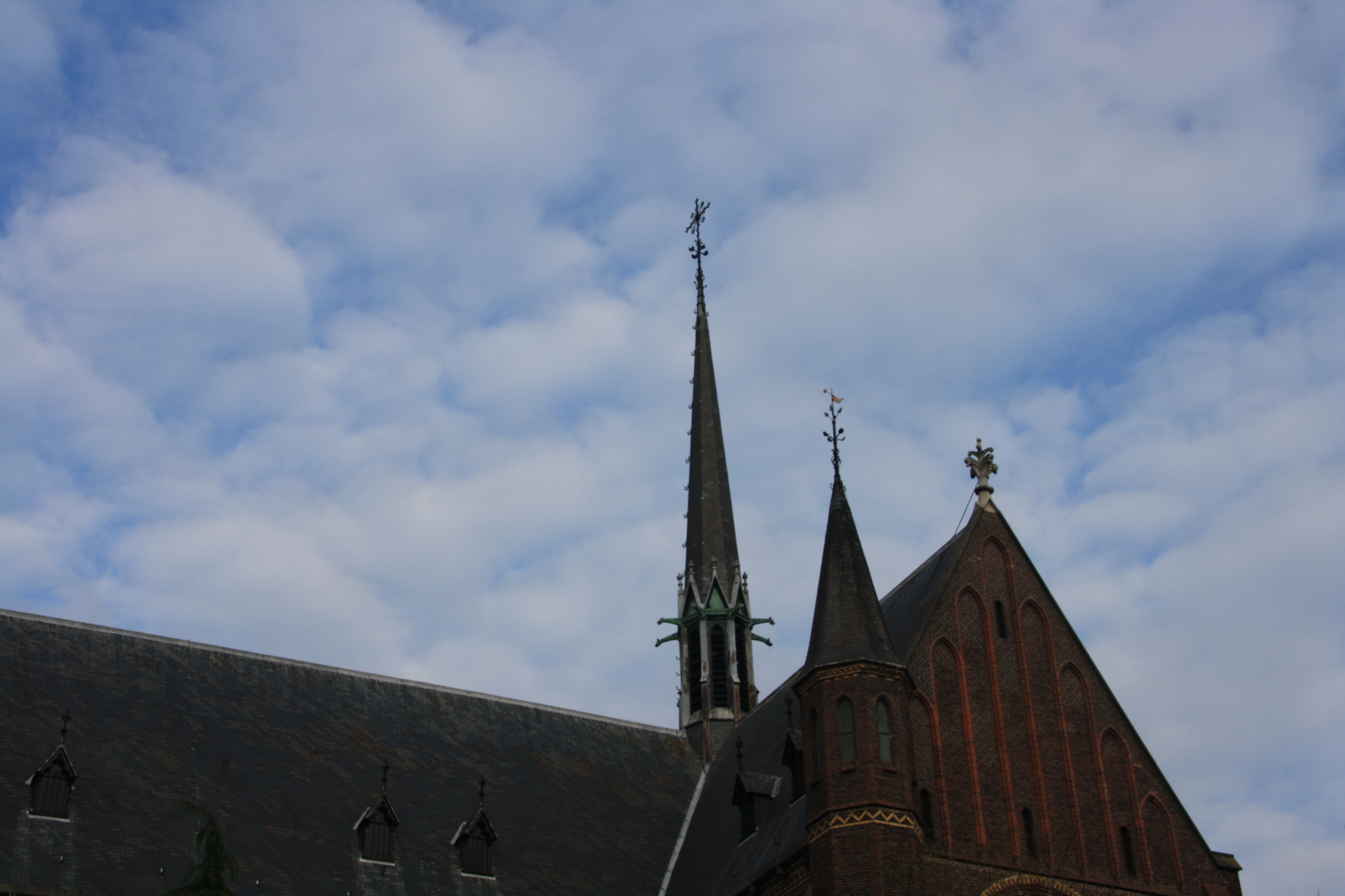 IMG_4141.JPG