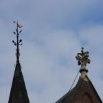 IMG_4143.JPG