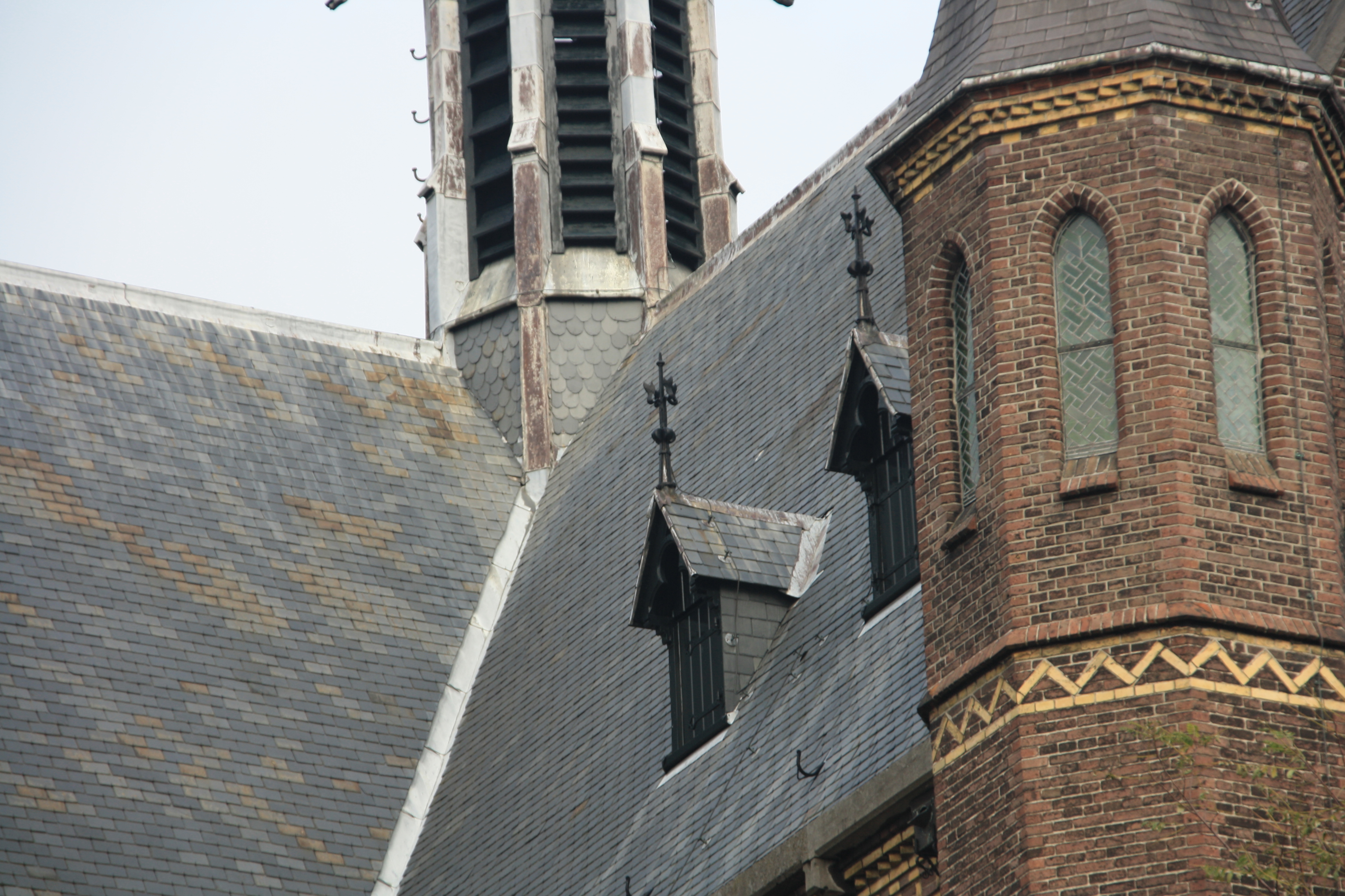 IMG_4144.JPG