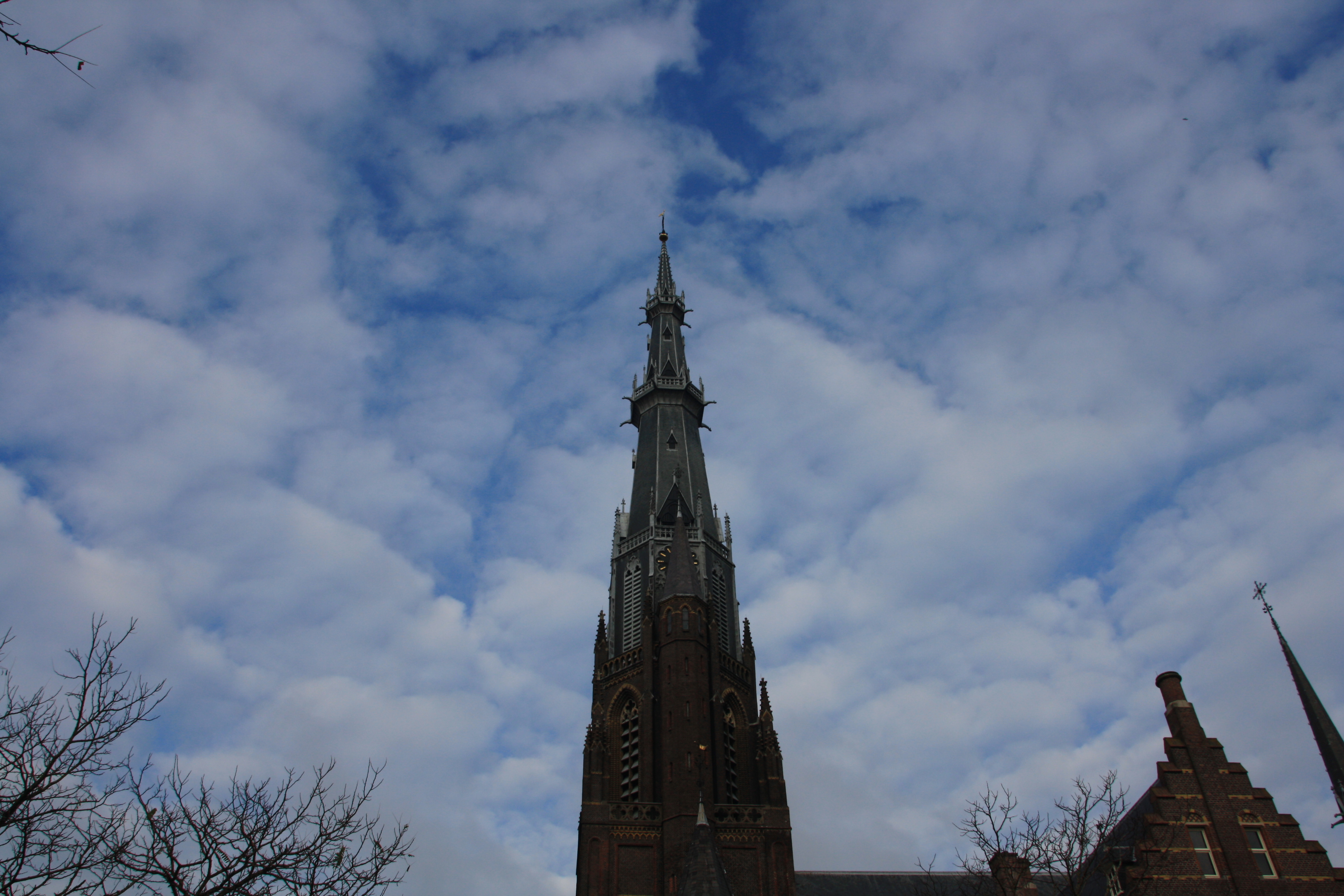 IMG_4146.JPG