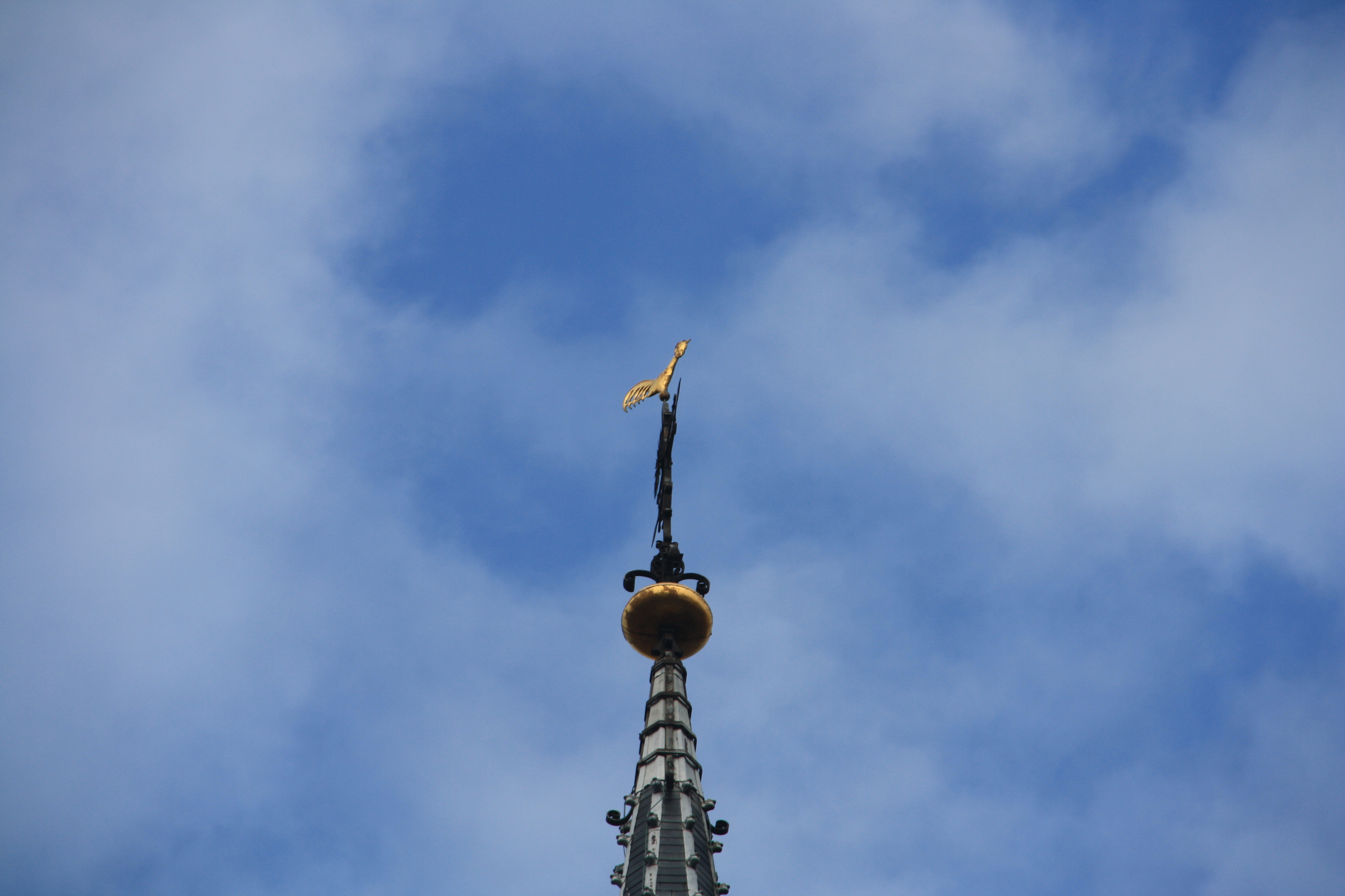 IMG_4148.JPG