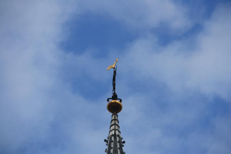 IMG_4148.JPG