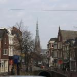 IMG_4164.JPG
