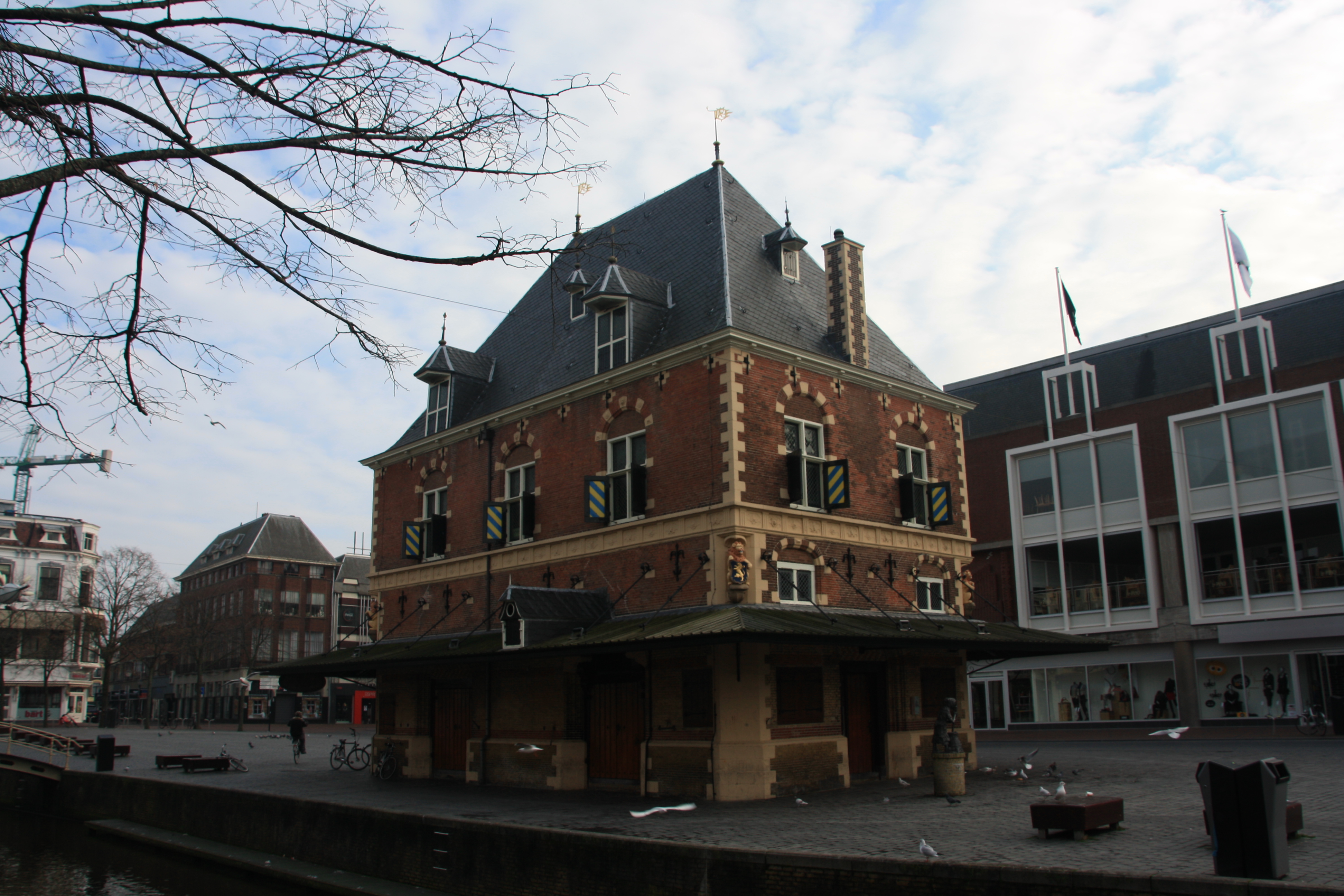 IMG_4174.JPG