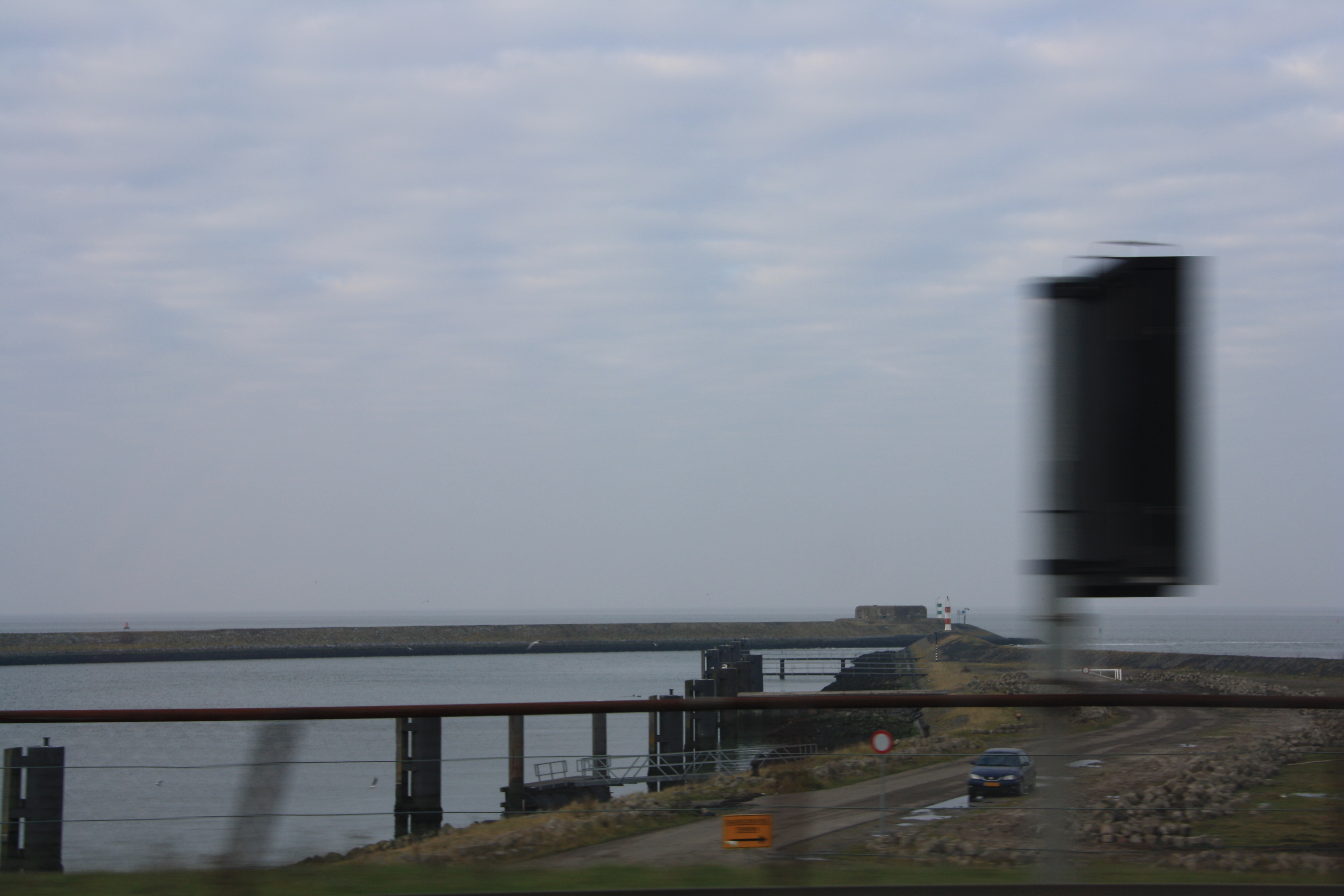 IMG_4203.JPG