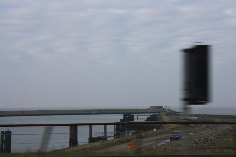 IMG_4203.JPG