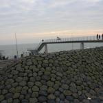 IMG_4223.JPG