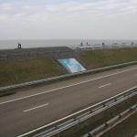 IMG_4231.JPG