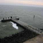IMG_4233.JPG
