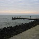 IMG_4237.JPG