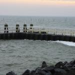 IMG_4239.JPG