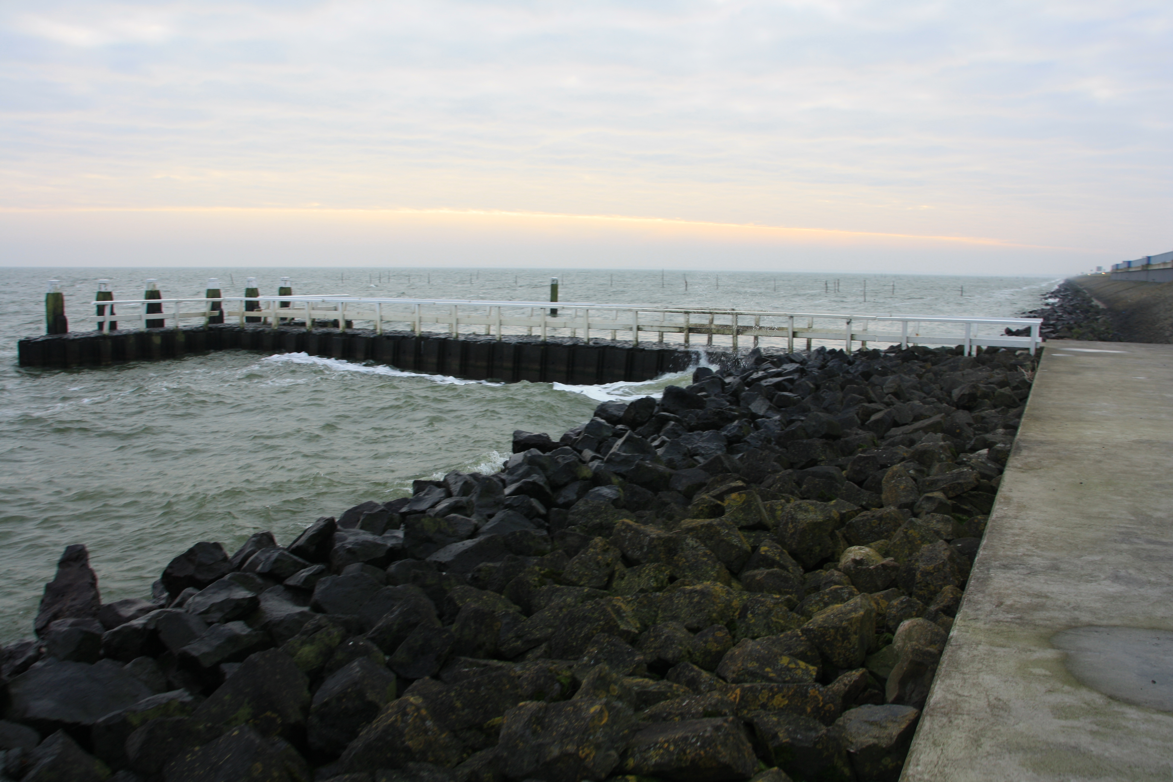 IMG_4245.JPG