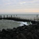 IMG_4246.JPG