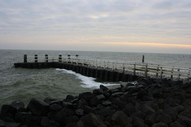 IMG_4248.JPG