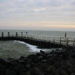 IMG_4248.JPG