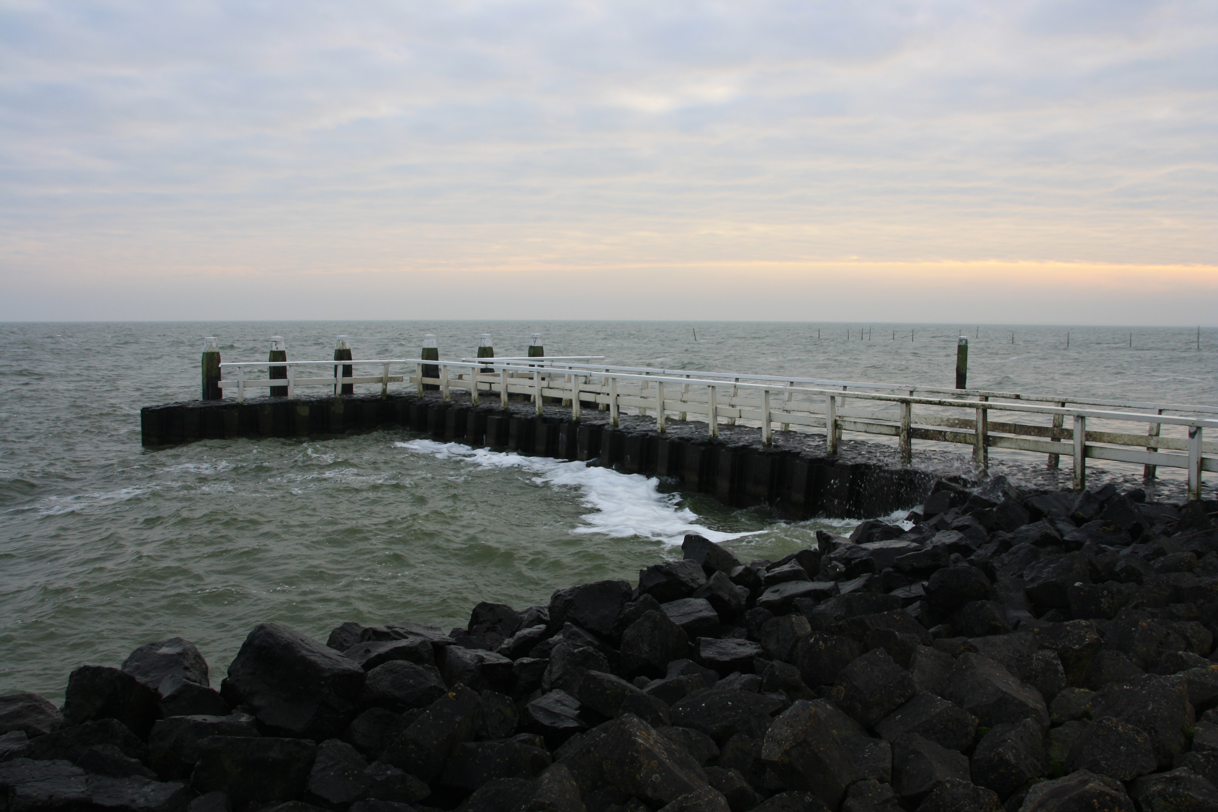 IMG_4249.JPG