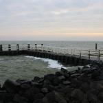 IMG_4249.JPG
