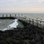 IMG_4251.JPG