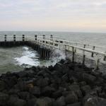 IMG_4252.JPG