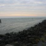 IMG_4258.JPG