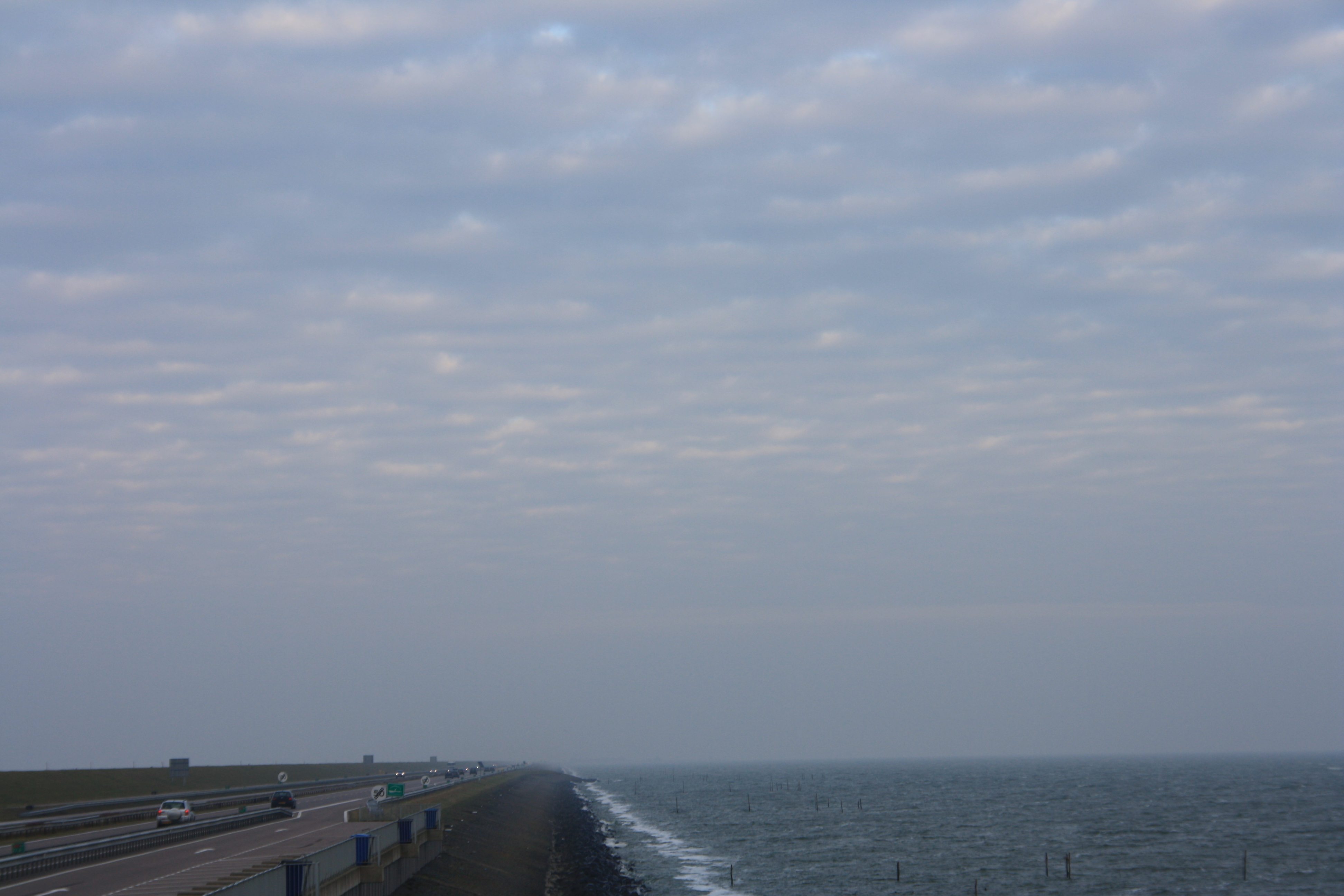 IMG_4269.JPG