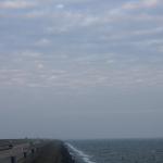 IMG_4269.JPG