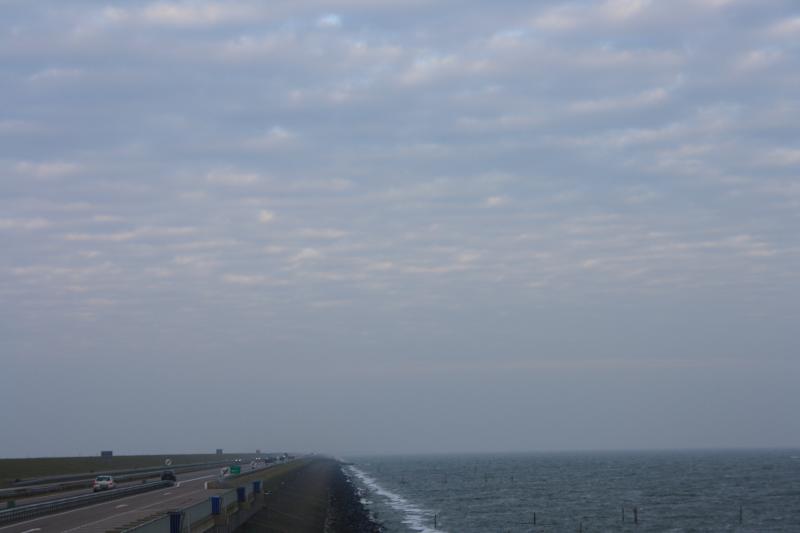 IMG_4269.JPG