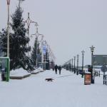 IMG_5028.JPG