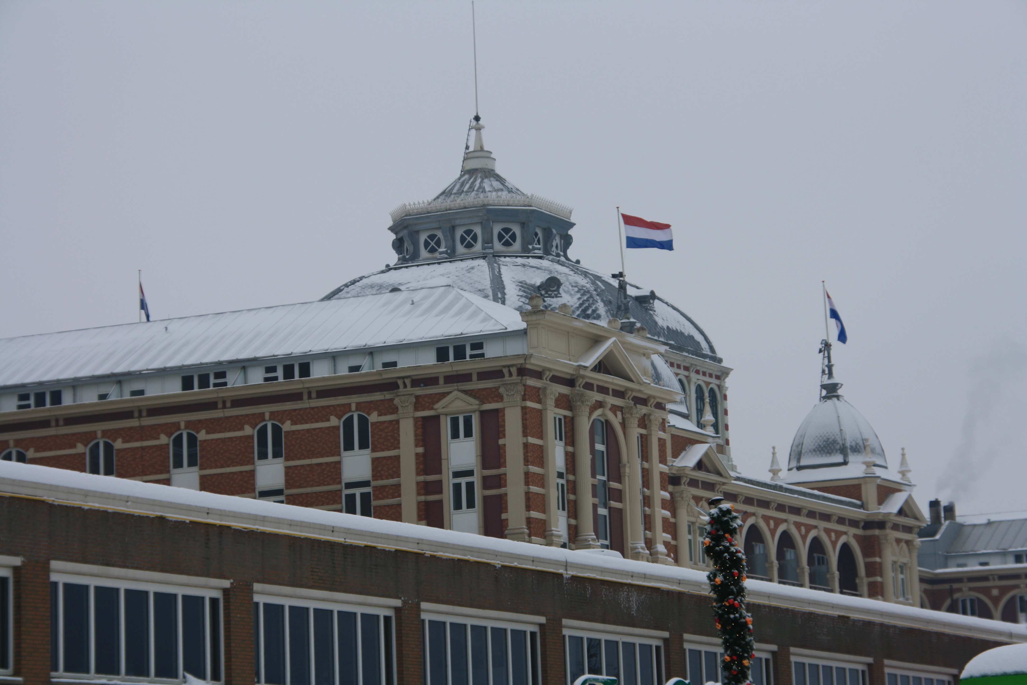 IMG_5029.JPG
