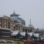 IMG_5030.JPG