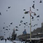 IMG_5032.JPG