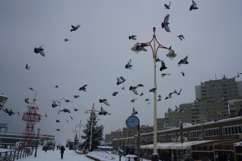 IMG_5032.JPG