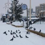 IMG_5033.JPG