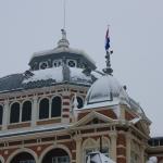 IMG_5037.JPG