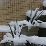 IMG_5039.JPG