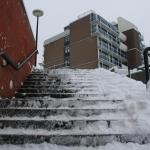 IMG_5040.JPG