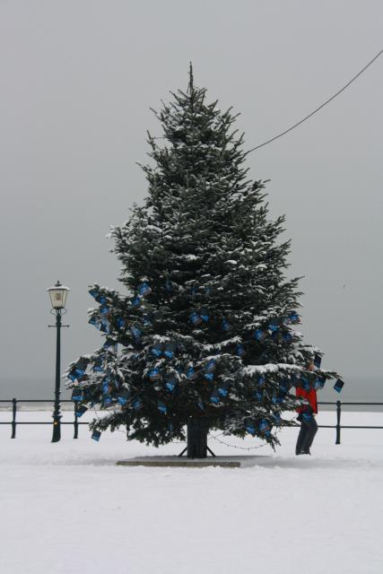IMG_4956.JPG