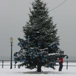 IMG_4956.JPG